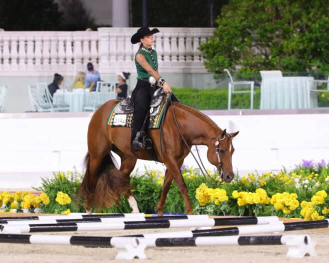 A rider in western attire guides a brown horse through a pattern bordered by black and white poles, with yellow flowers and white chairs in the background.