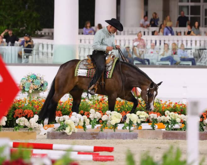 Man in a black cowboy hat rides a brown horse through an arena decorated with colorful flowers, with spectators seated in the background.