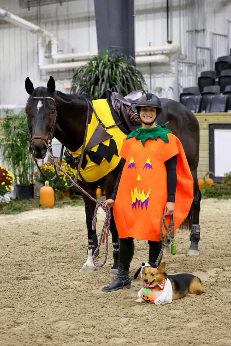 A person in a pumpkin costume stands next to a horse in a bat costume, with a corgi dressed as a pumpkin lying at their feet inside an indoor arena.