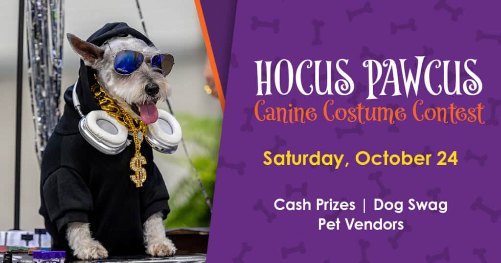 Small dog in hoodie, sunglasses, headphones, and gold chain sits on table next to poster reading “Hocus Pawcus Canine Costume Contest, Saturday, October 24. Cash Prizes, Dog Swag, Pet Vendors.”.