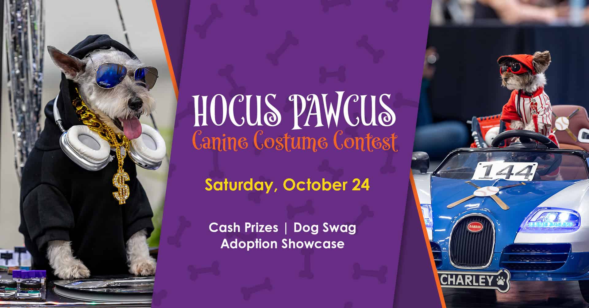 Two dogs in costumes: one as a DJ with sunglasses and gold chains, the other in a red outfit driving a toy car. Text promotes a canine costume contest event.