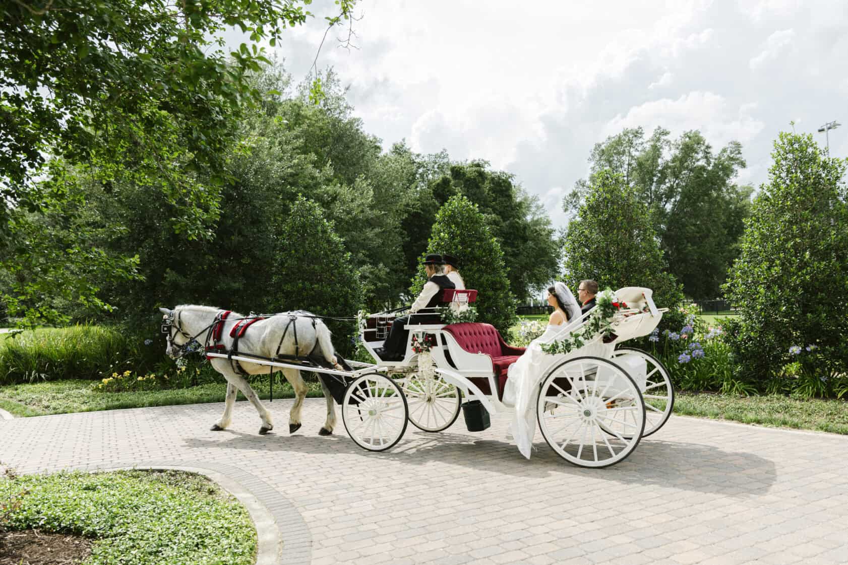 A white horse pulls a white carriage with red seats, carrying two people dressed formally, along a paved path in a garden setting.