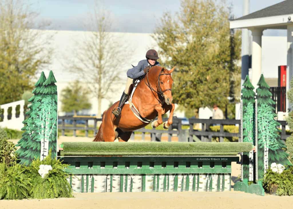 A rider in a helmet and jacket guides a chestnut horse over a green-and-white jump during an outdoor equestrian event.