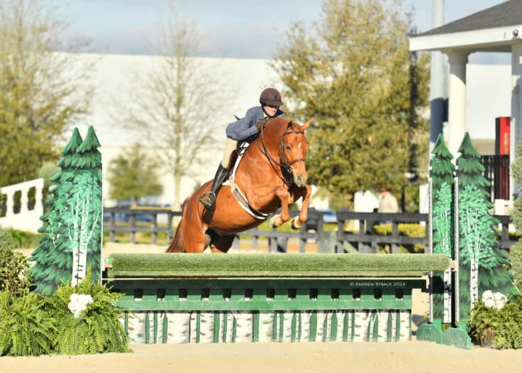 A rider in a helmet and jacket guides a chestnut horse over a green-and-white jump during an outdoor equestrian event.