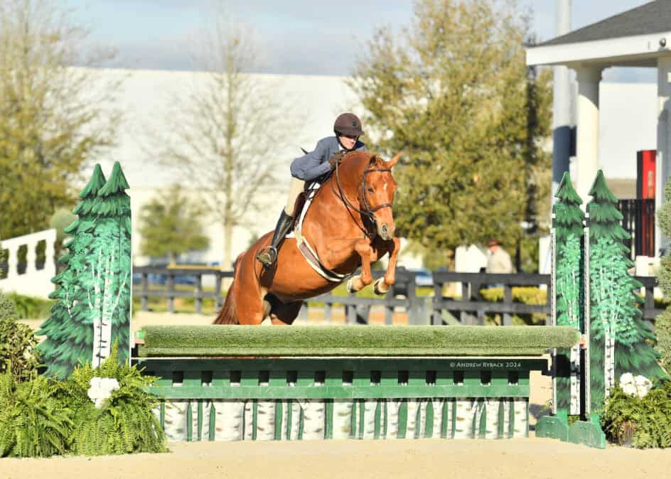 A rider in a helmet and jacket guides a chestnut horse over a green-and-white jump during an outdoor equestrian event.