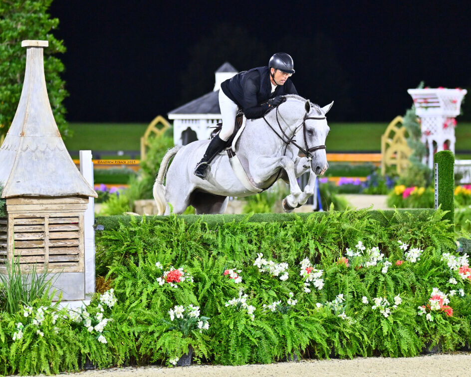 Equestrian rider in a black jacket and helmet jumps a gray horse over a green hedge during a nighttime show jumping event. Ornamental structures and flowers are visible in the background.