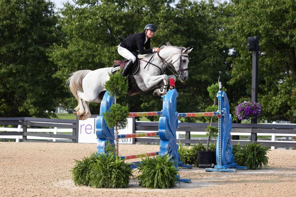 A rider on a gray horse jumps over a blue and red obstacle in an outdoor equestrian arena, with green trees and fencing in the background.
