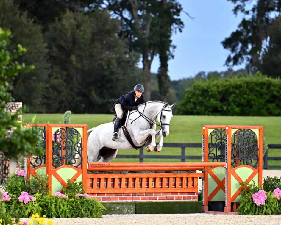 A rider in equestrian gear jumps a white horse over a red and orange fence, with greenery and flowers in the background.