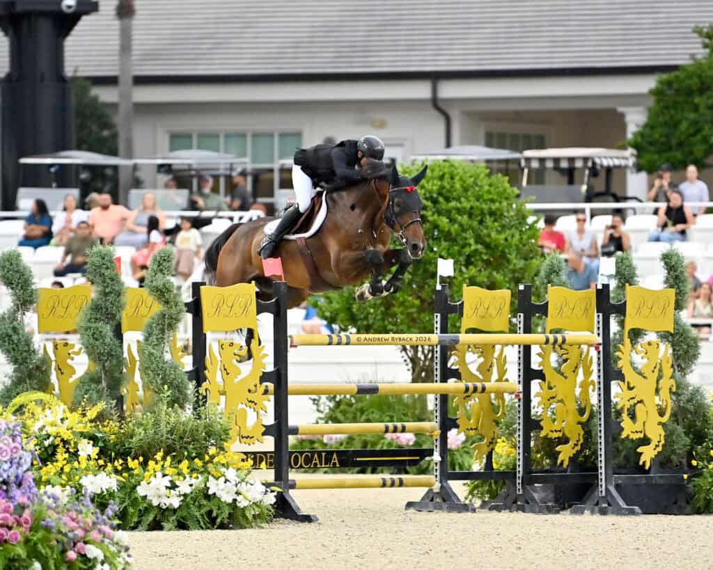 A rider in black and a brown horse jump over a yellow show jumping obstacle in an outdoor arena, with spectators in the background.