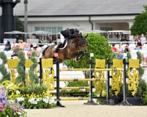 A rider in black and a brown horse jump over a yellow show jumping obstacle in an outdoor arena, with spectators in the background.