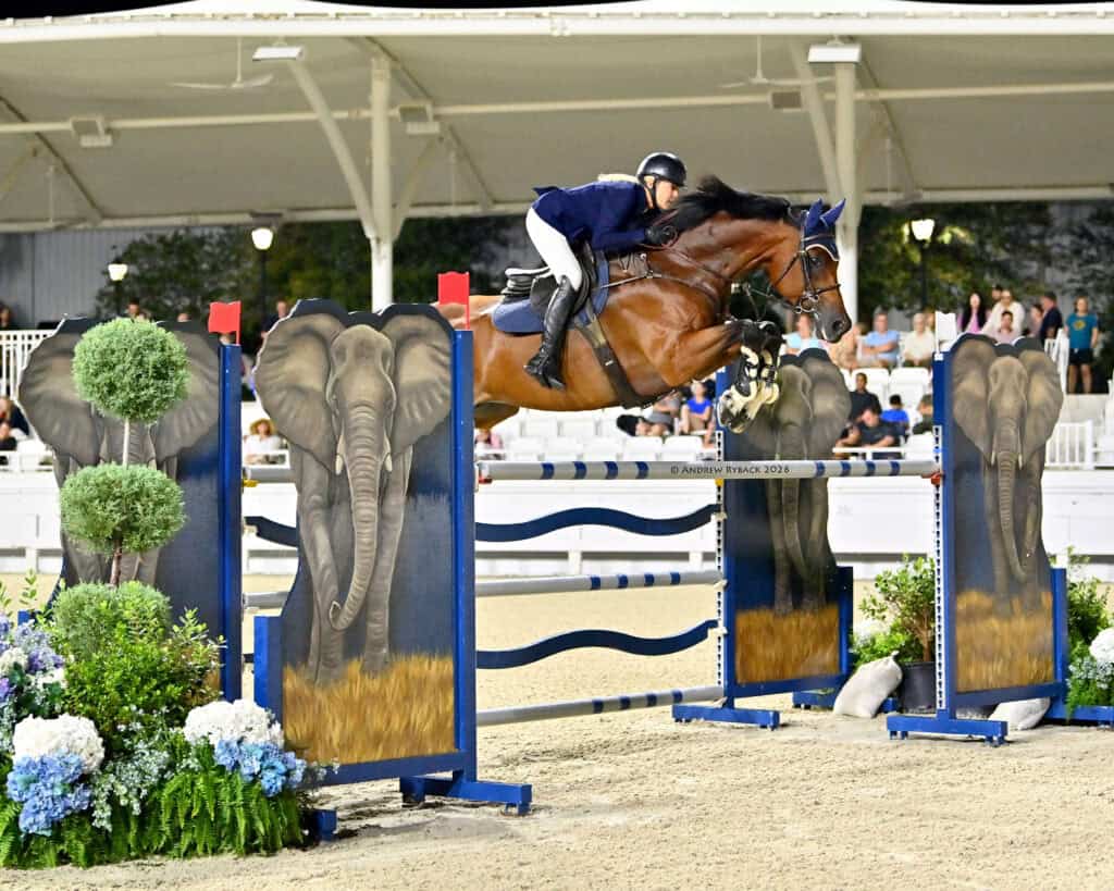 A rider on a brown horse jumps over a show jumping obstacle decorated with painted elephant images at an equestrian event.