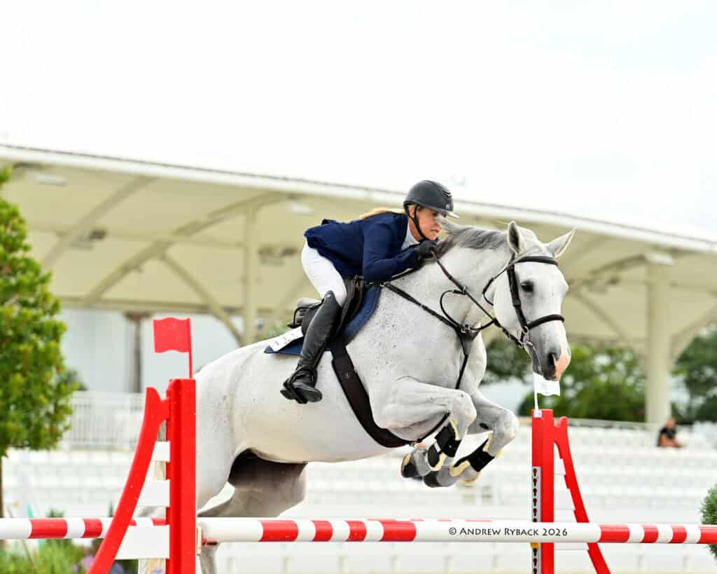 Equestrian in a blue jacket and helmet riding a gray horse mid-jump over a red and white obstacle at an outdoor arena.