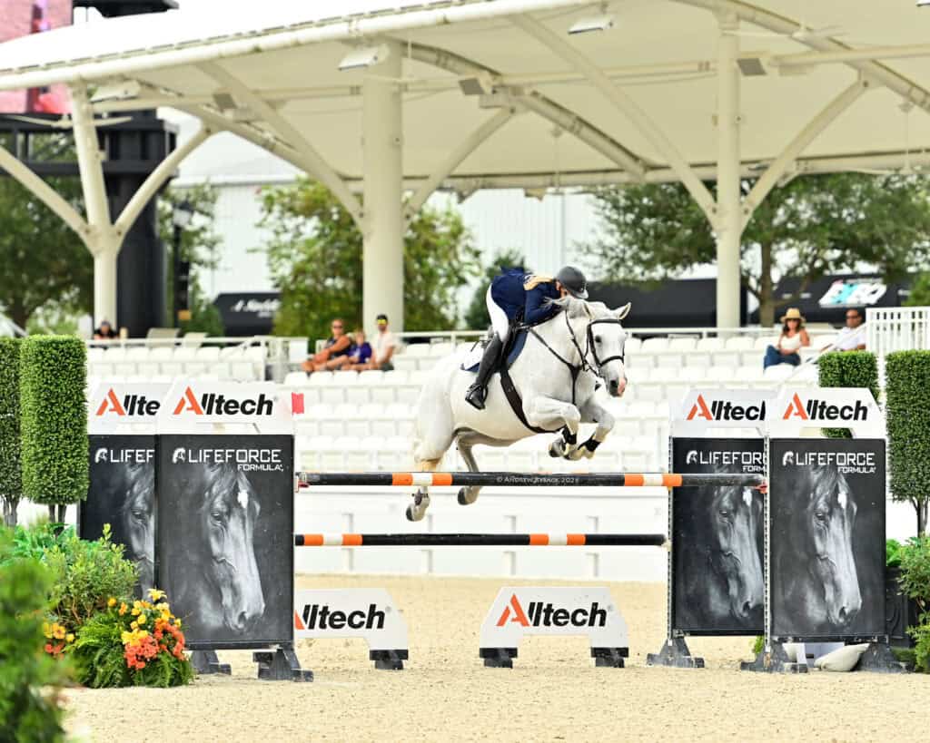 A rider on a white horse jumps over an obstacle during an equestrian event in an outdoor arena with spectators in the background.