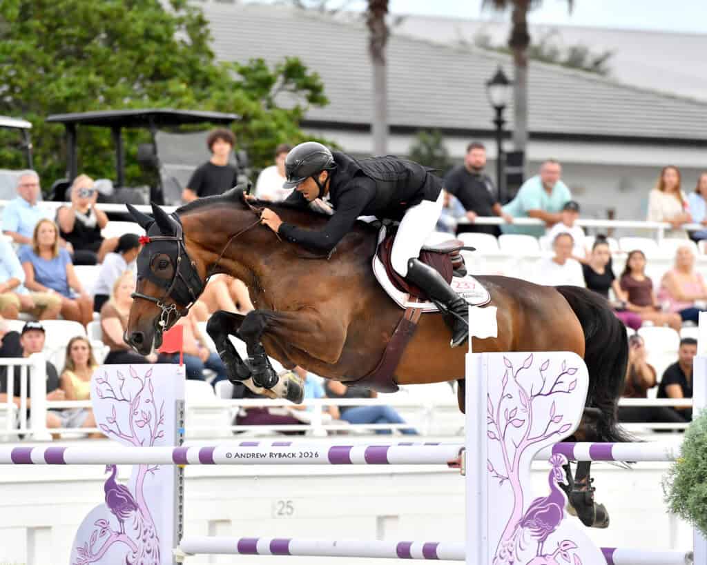 A rider in black and white equestrian gear jumps a brown horse over a purple and white obstacle during a competition with spectators watching.