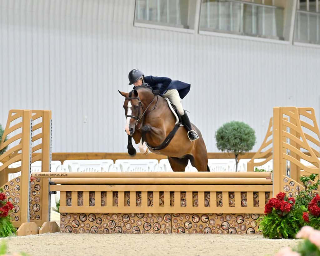 Equestrian rider in formal attire jumps a brown horse over a wooden fence obstacle in an indoor arena.