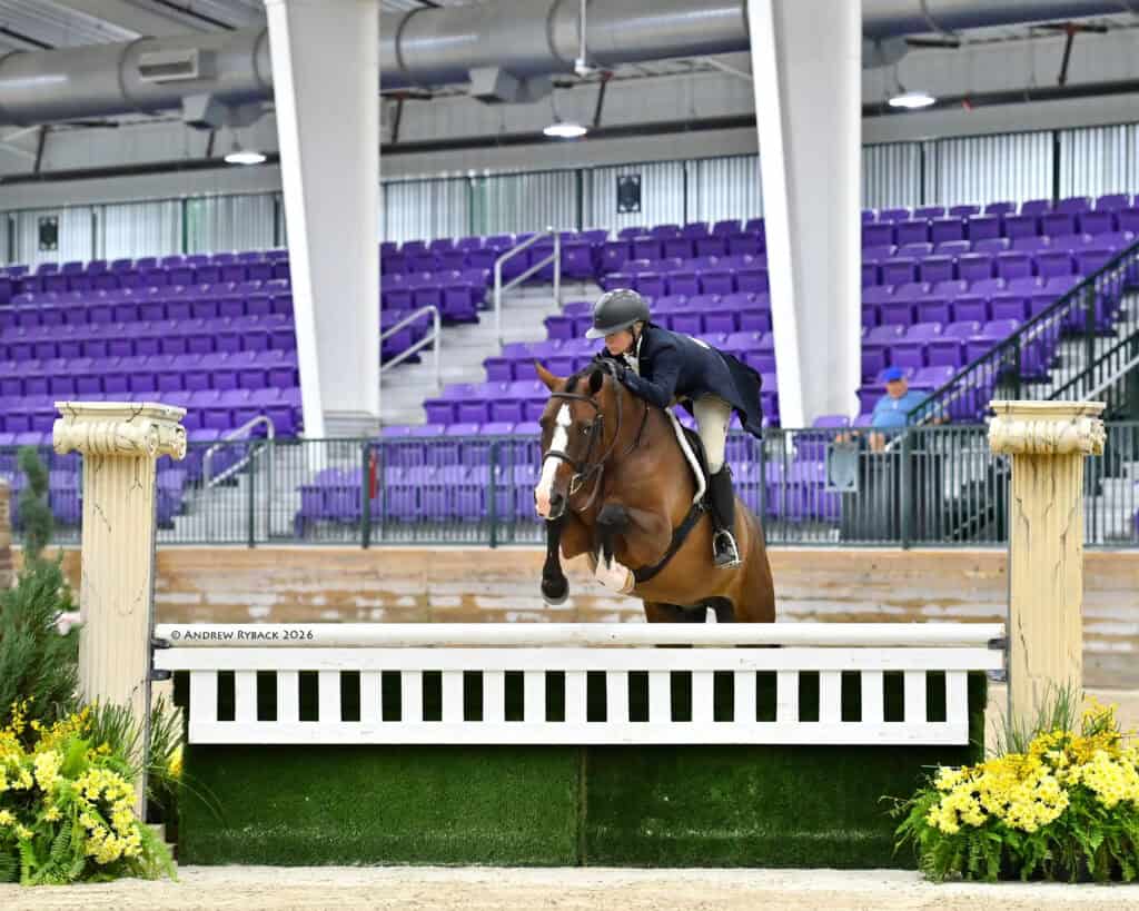 Equestrian rider on a brown horse jumps over an obstacle in an indoor arena with purple seats and yellow flowers.