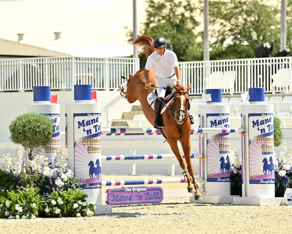 A rider in white attire jumps a brown horse over an obstacle during an equestrian event, surrounded by floral decorations and branded signs.
