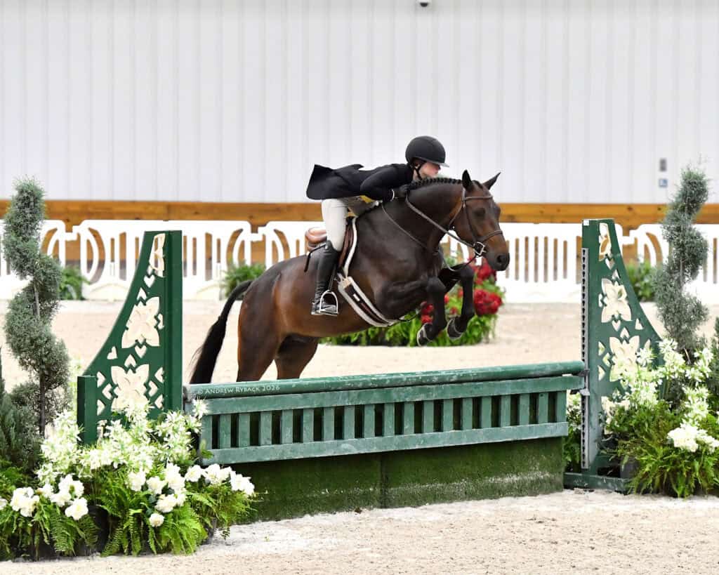 A rider in formal attire guides a brown horse over a green jump in an indoor equestrian arena decorated with white flowers.