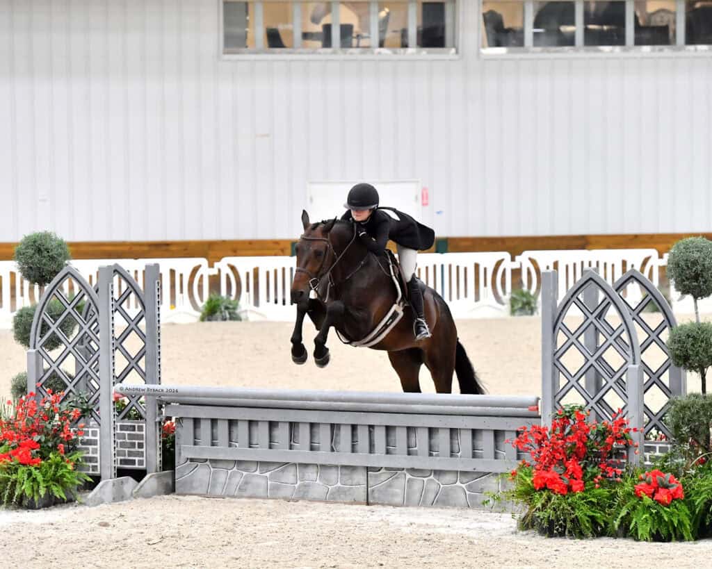 Equestrian rider in black attire and helmet jumps a brown horse over a gray obstacle with red flowers during an indoor competition.