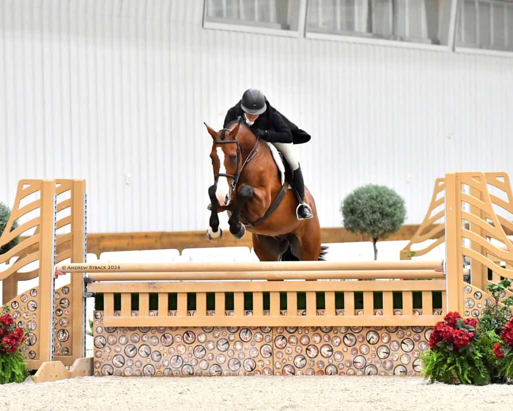 Equestrian rider in black jacket and helmet jumps a brown horse over a decorative hurdle in an indoor arena.