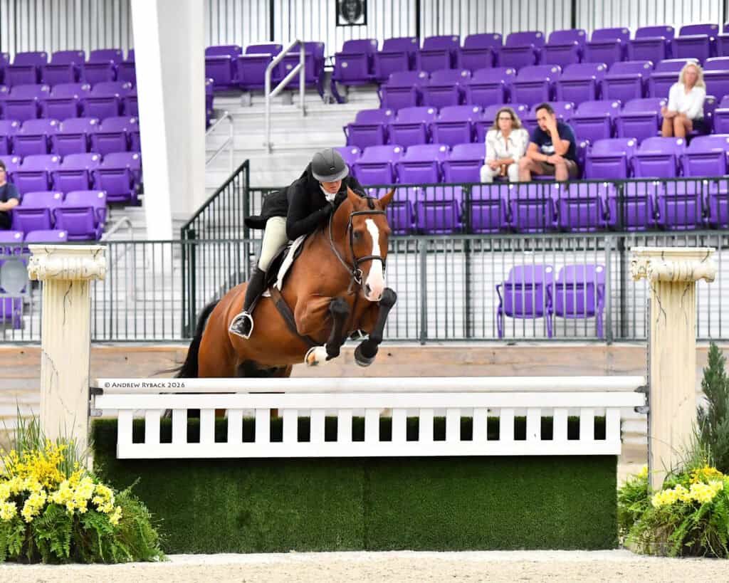 A rider on a brown horse jumps over an obstacle during an equestrian event, with purple stadium seats and a few spectators in the background.