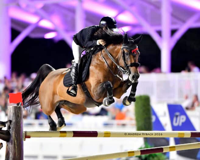 Equestrian rider in black gear and helmet jumps a brown horse over a high obstacle during a competition in a brightly lit arena.