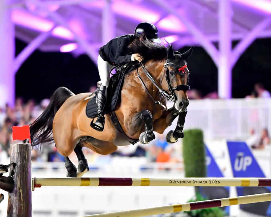 Equestrian rider in black gear and helmet jumps a brown horse over a high obstacle during a competition in a brightly lit arena.