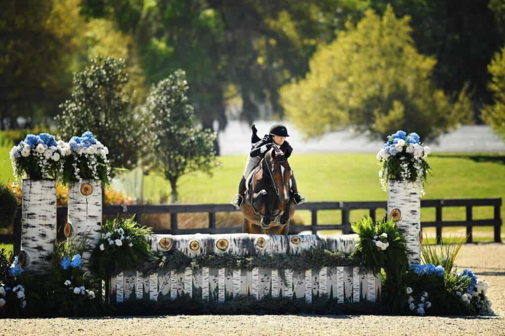 Equestrian rider in black attire jumps a horse over a decorative white fence with blue and white flowers in an outdoor arena surrounded by greenery.