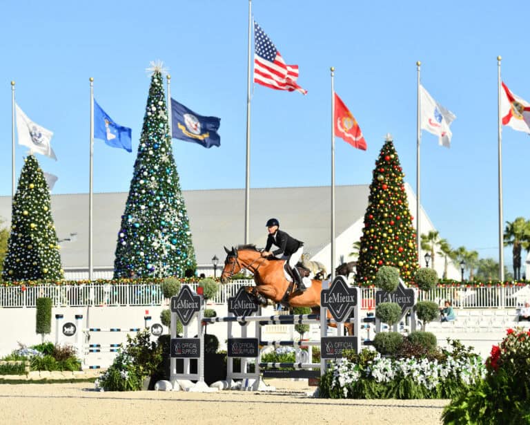 Equestrian rider on a brown horse jumps over an obstacle at an outdoor competition, with decorated Christmas trees and national flags visible in the background.