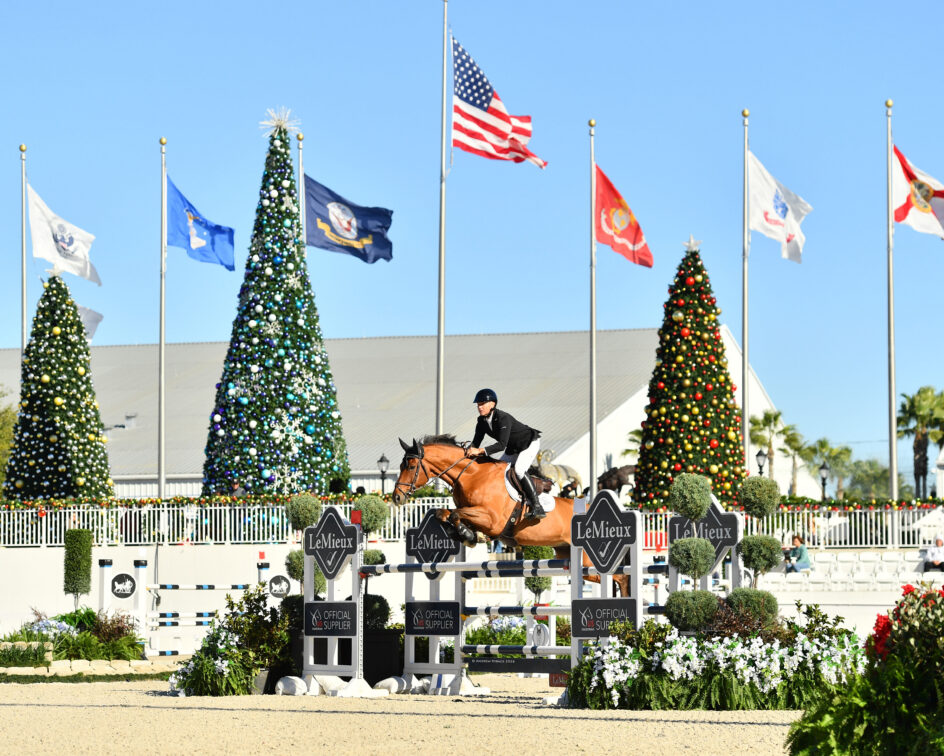 Equestrian rider on a brown horse jumps over an obstacle at an outdoor competition, with decorated Christmas trees and national flags visible in the background.