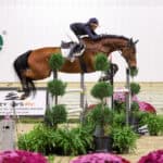 Equestrian athlete riding a horse mid-jump over an obstacle during an indoor show jumping competition, with plants and advertisements in the background.