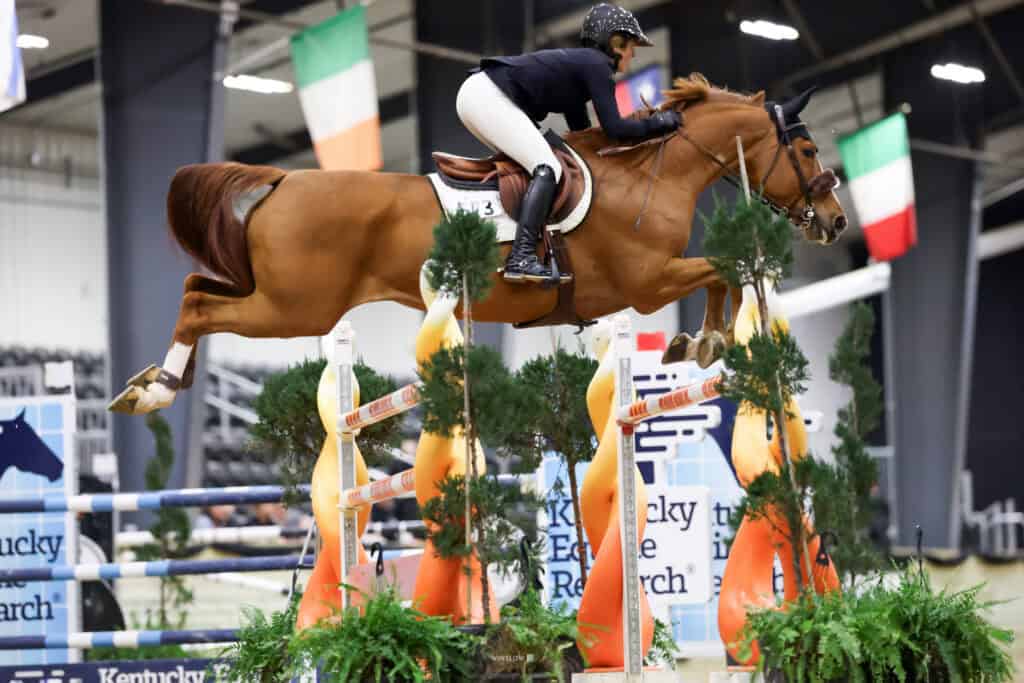 A rider wearing a helmet and jacket jumps a brown horse over an obstacle at an indoor equestrian event with banners and flags in the background.