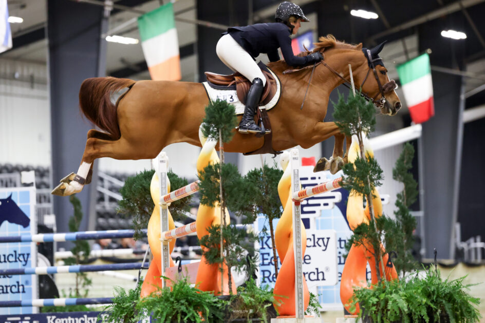 A rider wearing a helmet and jacket jumps a brown horse over an obstacle at an indoor equestrian event with banners and flags in the background.
