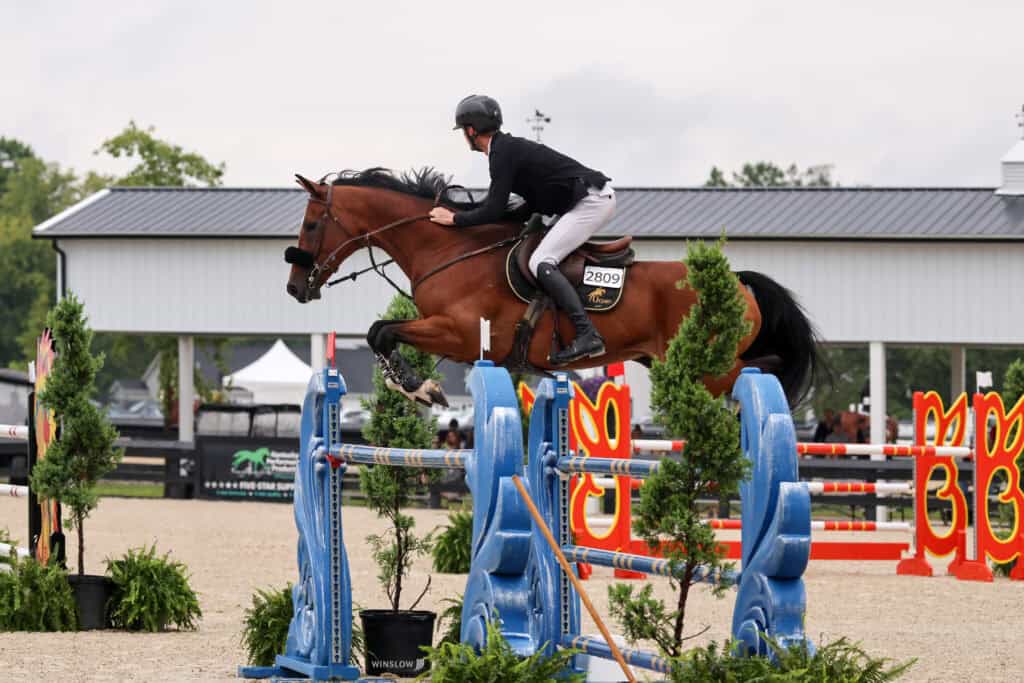 A rider on a brown horse jumps over a blue obstacle during an equestrian event, with a white building and trees in the background.