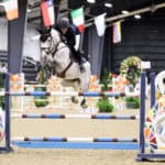 A rider on a gray horse jumps over a colorful barrier with swan designs during an indoor equestrian event.