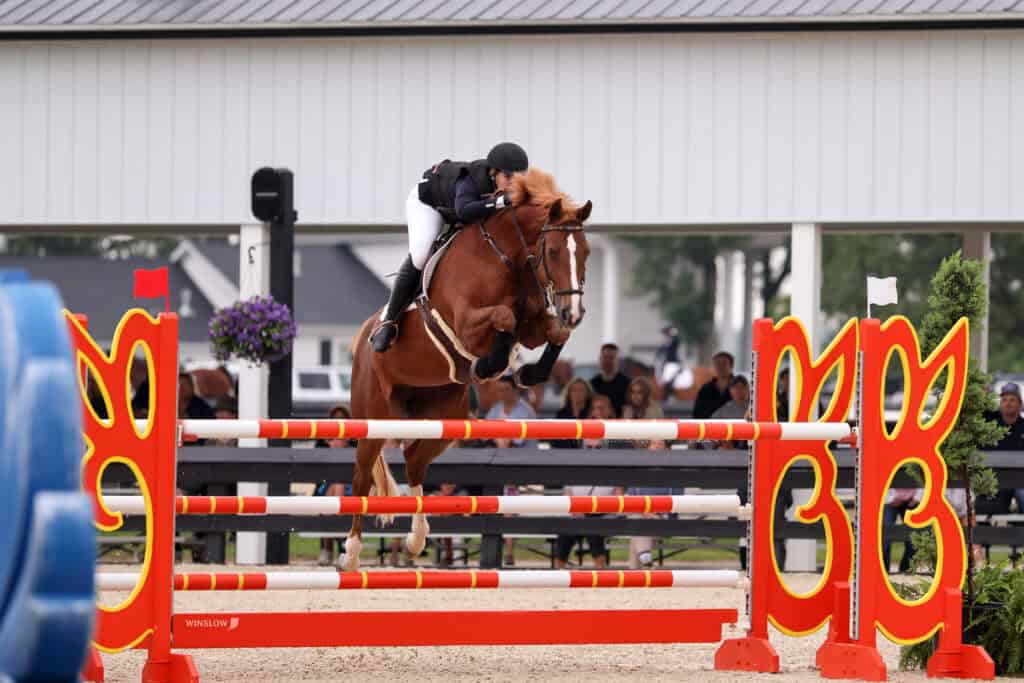 A rider in equestrian gear jumps a chestnut horse over a red and orange obstacle during a show jumping event, with spectators in the background.