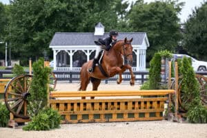 A rider in show attire guides a horse over a jump made of yellow rails in an outdoor equestrian arena, with greenery and a white gazebo in the background.