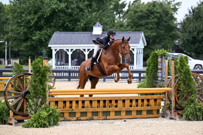 A rider in show attire guides a horse over a jump made of yellow rails in an outdoor equestrian arena, with greenery and a white gazebo in the background.