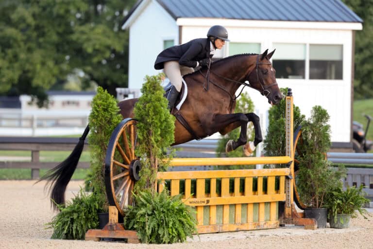 Equestrian rider in helmet and jacket jumps a brown horse over a yellow and green obstacle during a competition on a sandy arena.
