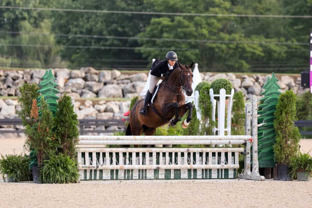 Equestrian rider in a black jacket and helmet jumps a brown horse over a white fence during a show jumping event outdoors.