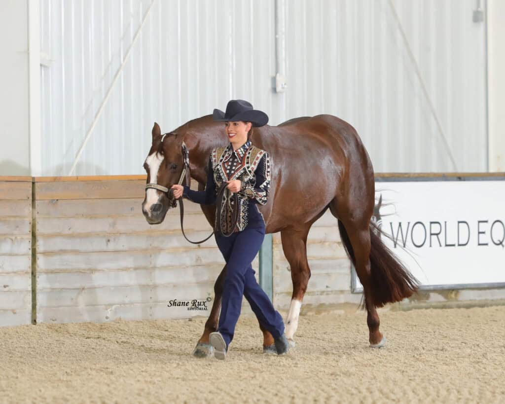 A woman in a black cowboy hat leads a brown horse with a white face marking in an indoor arena.