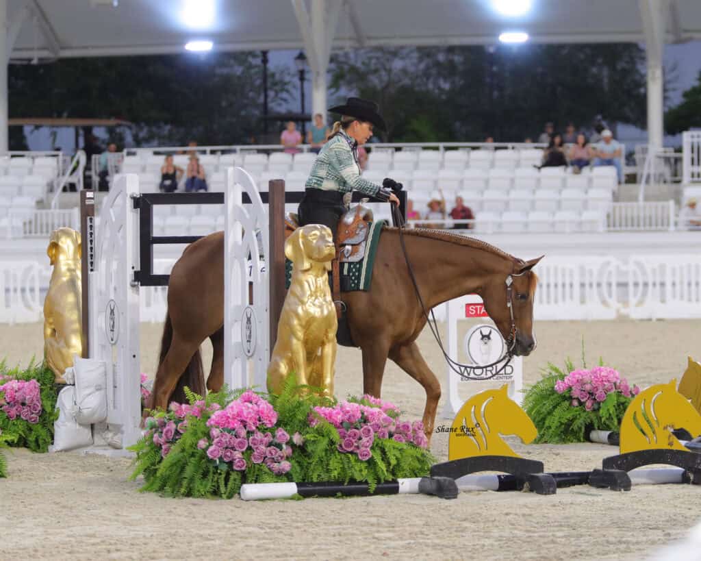 A rider on a brown horse navigates an indoor equestrian course decorated with gold dog statues and pink flower arrangements, with empty white stadium seating in the background.