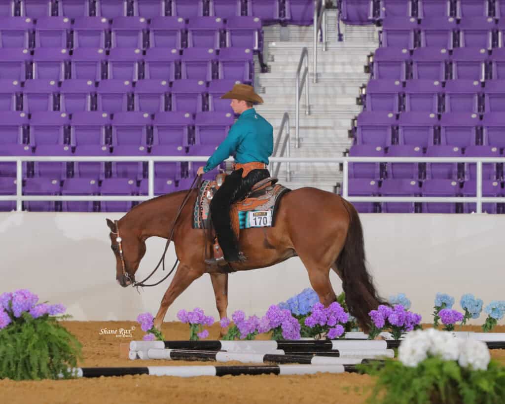 A person in a teal shirt and cowboy hat rides a brown horse in an indoor arena with purple seats and flower decorations.