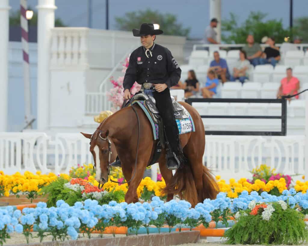 A person in a black outfit and hat rides a brown horse through an arena with colorful flowers, while people watch from white seats in the background.