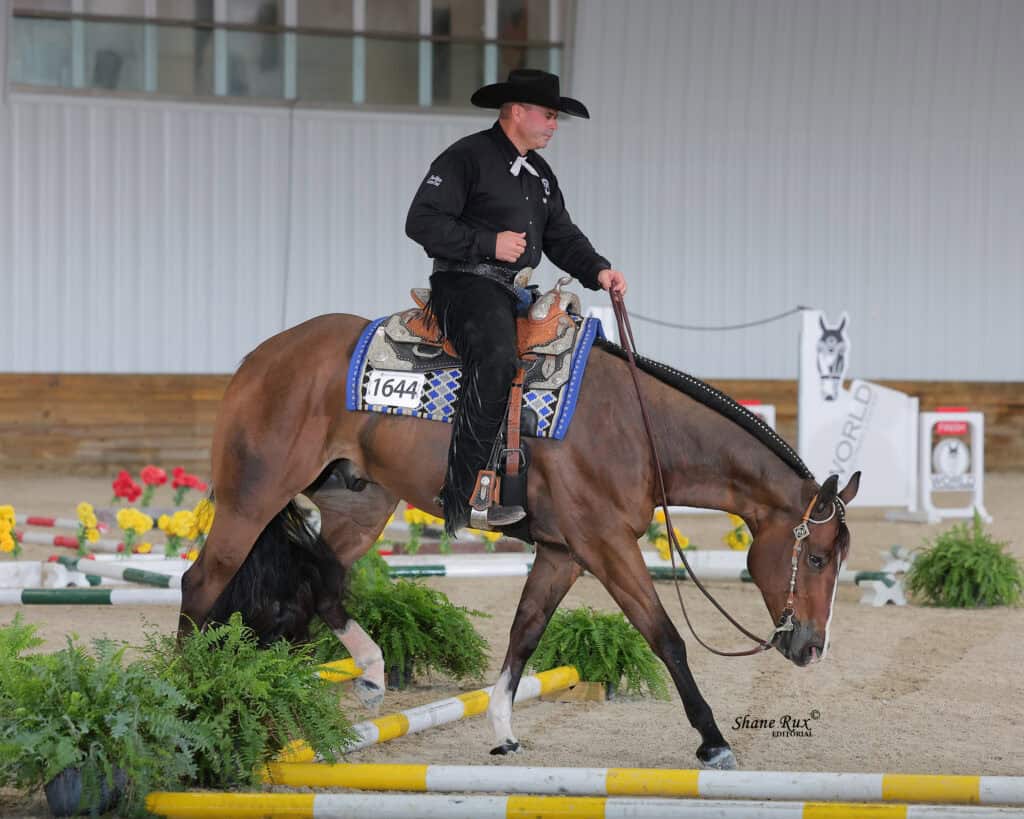 A rider wearing black guides a horse with a blue saddle blanket through an indoor equestrian course marked by yellow and white poles and green plants.
