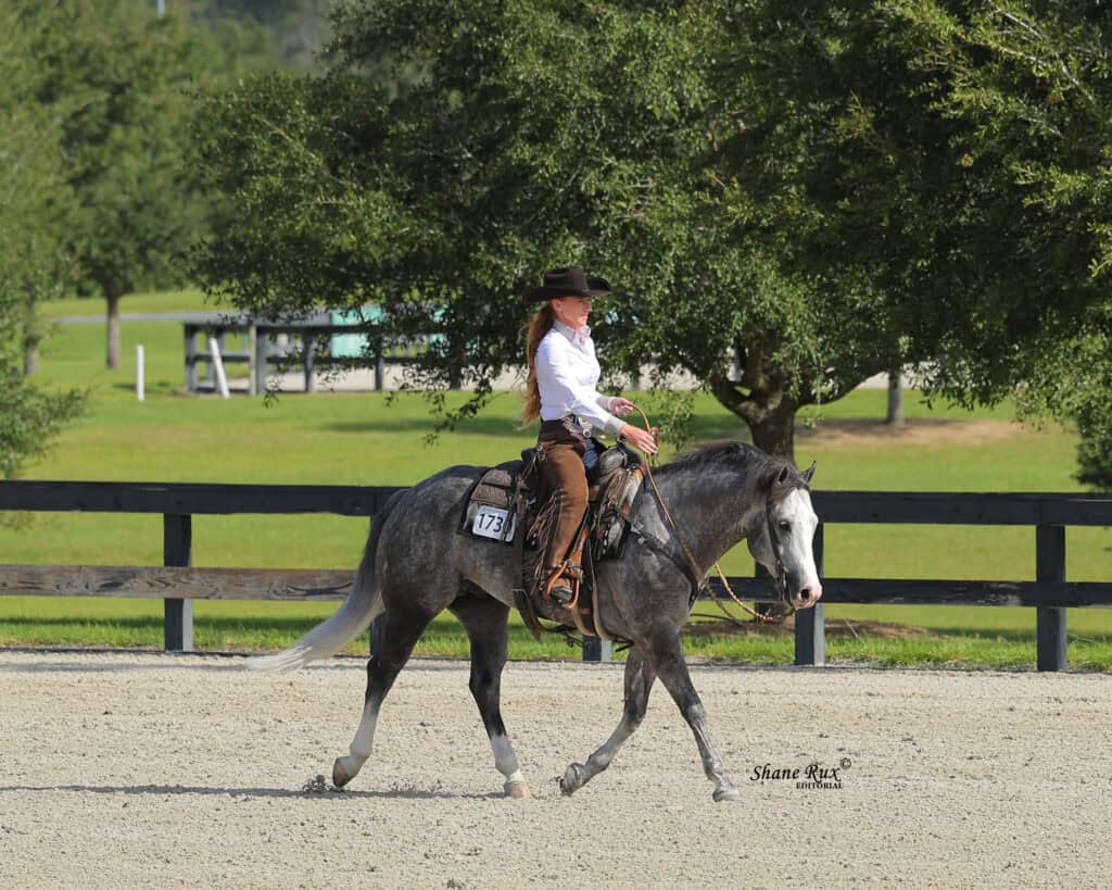 A rider in western attire guides a gray horse along a sandy arena, with green trees and a black fence in the background.