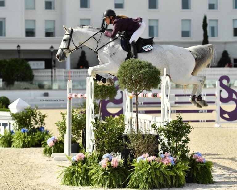 Equestrian rider in a helmet and jacket guides a white horse over a jump in an outdoor arena, with flowers and greenery in the foreground and a building in the background.