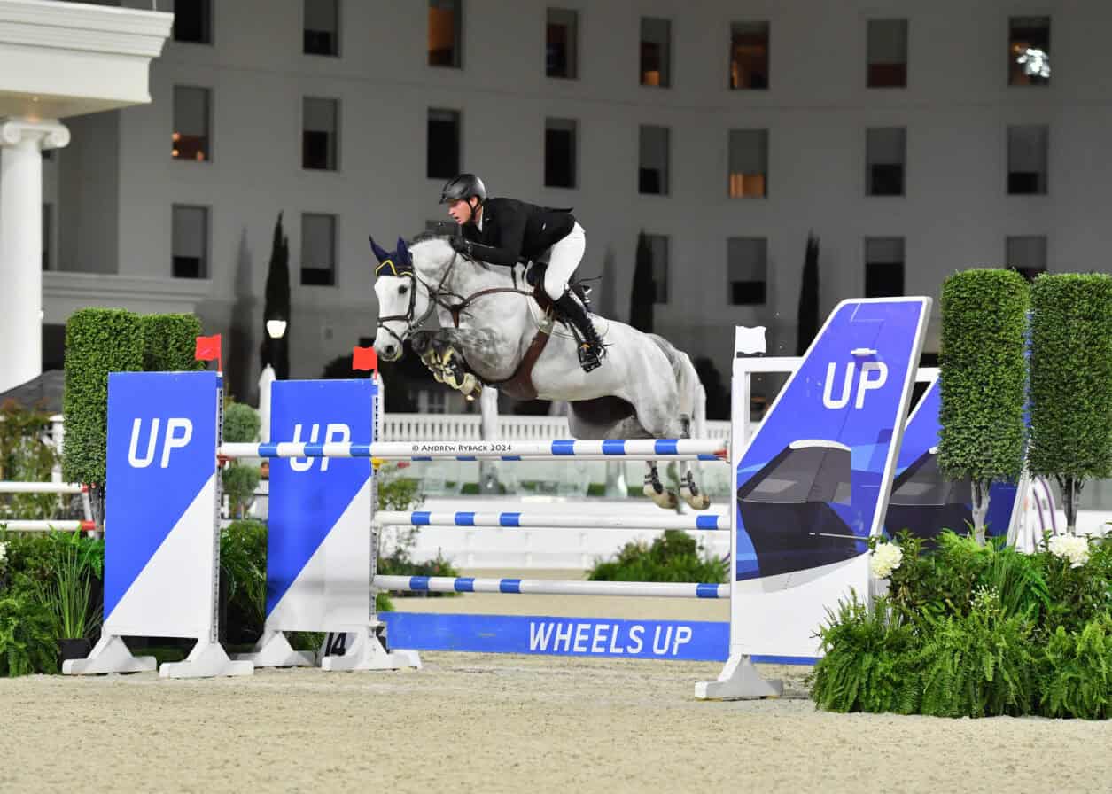 Equestrian rider in black jacket and helmet jumps a gray horse over a blue and white obstacle labeled “UP” during a nighttime competition.