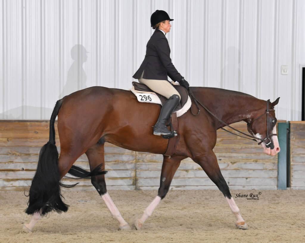 A rider in show attire rides a bay horse with white socks and a competition number 296 in an indoor arena with sand footing.