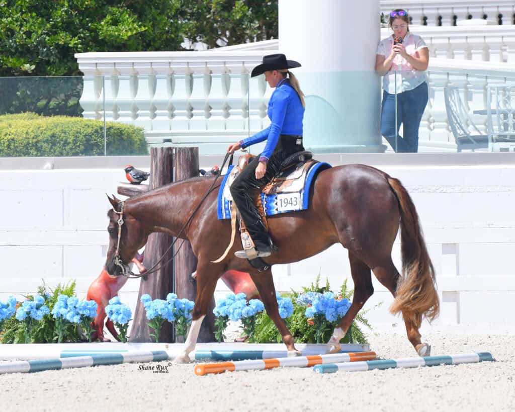 A rider in a blue shirt and black hat guides a brown horse over poles in an arena, with a woman standing and observing in the background.